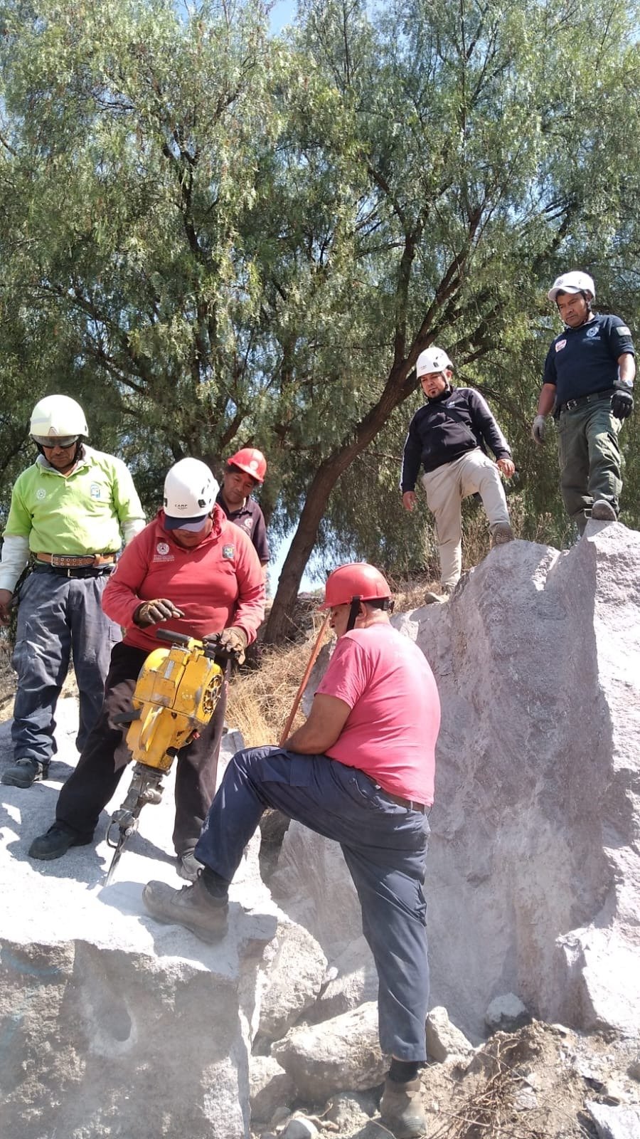 c989ed47-f714-4f50-b76a-6669441d44ea