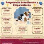 04eae6be-3929-40cc-99c0-dfe8a79effd0