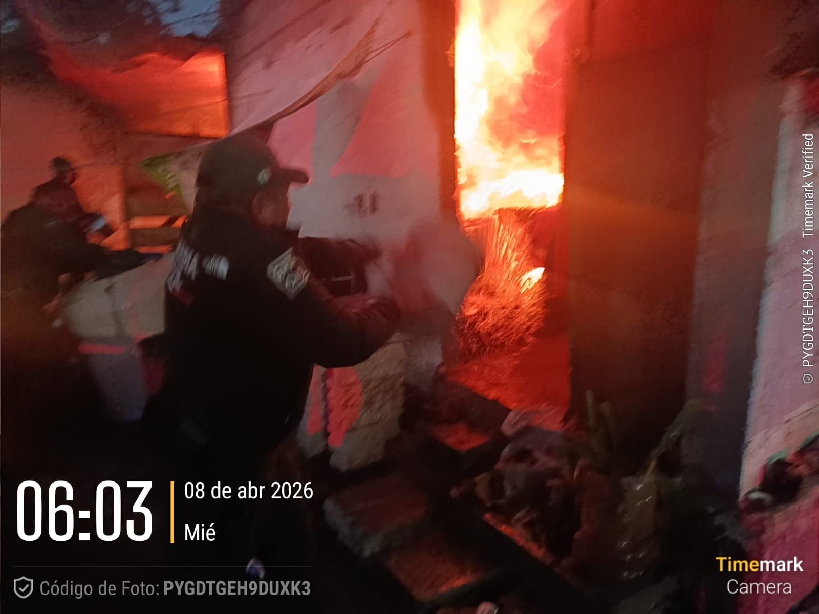 10006135068738652499029960490