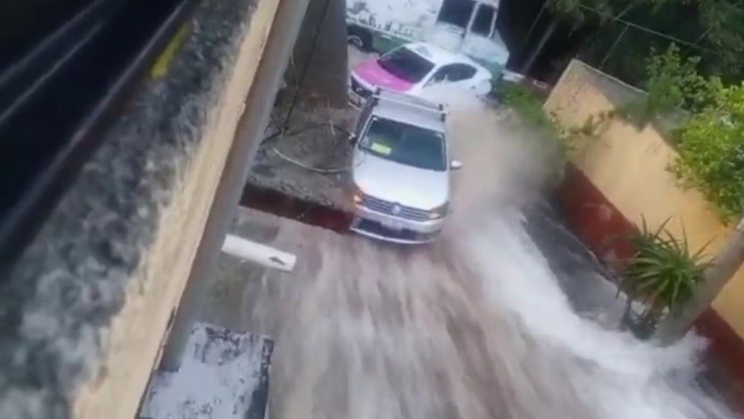 Captura de pantalla 2026-04-14 122427