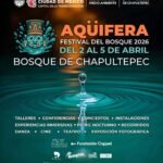 WhatsApp Image 2026-04-02 at 11.47