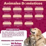 WhatsApp Image 2026-04-08 at 2.03