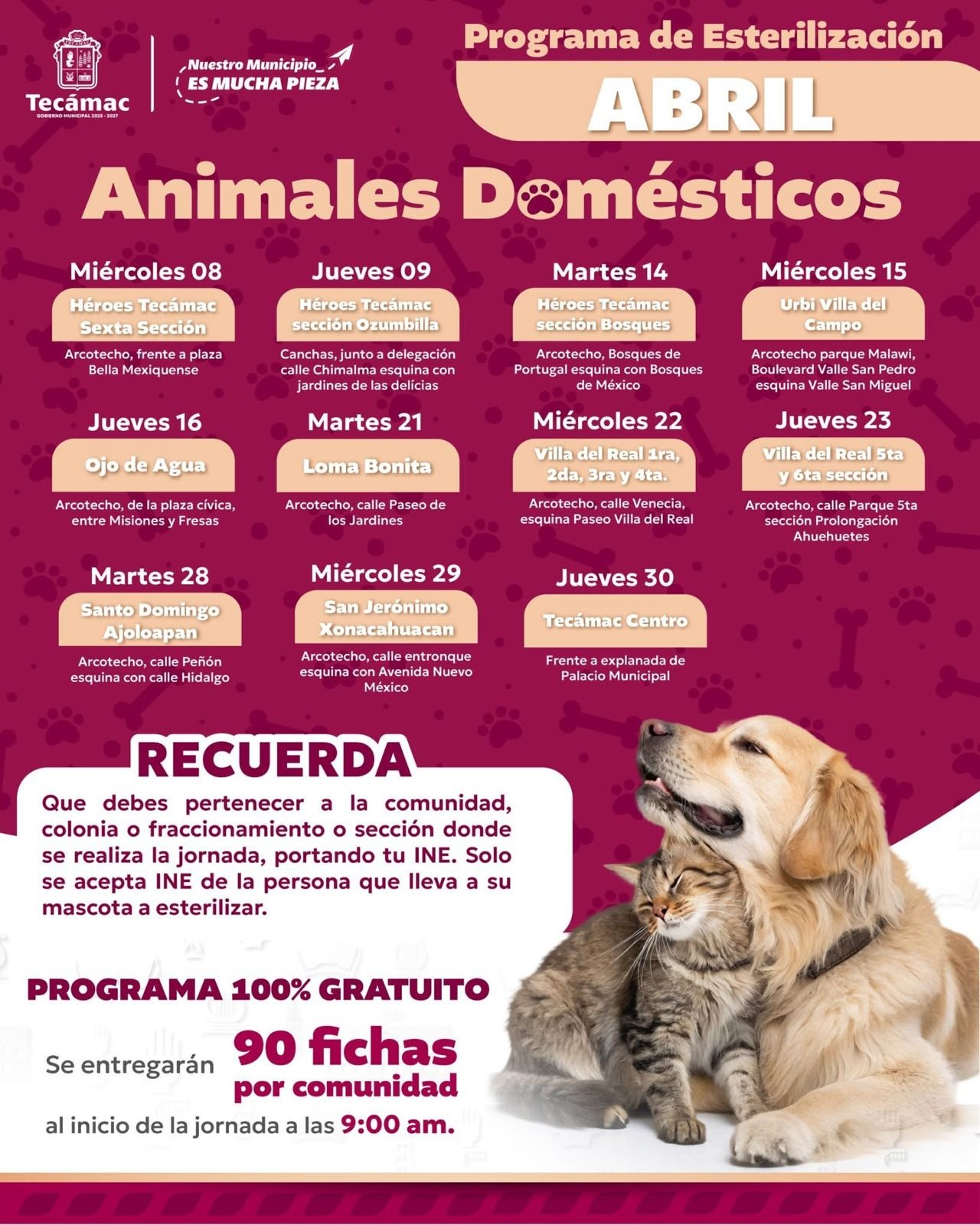 WhatsApp Image 2026-04-08 at 2.03