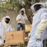 WhatsApp Image 2026-04-12 at 1.00