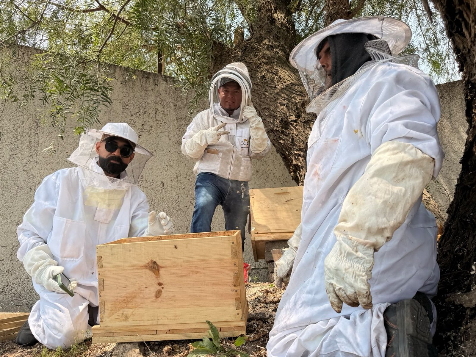 WhatsApp Image 2026-04-12 at 1.00