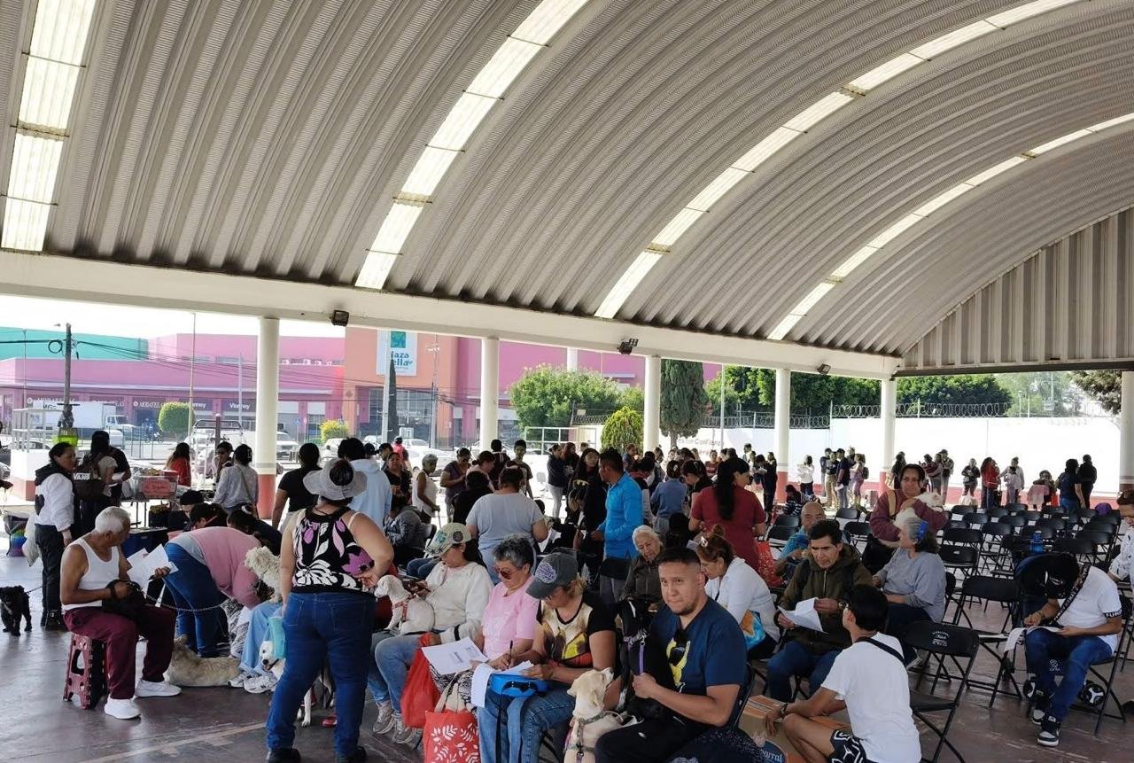 WhatsApp Image 2026-04-20 at 4.54