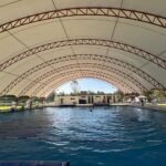 WhatsApp Image 2026-04-26 at 4.14