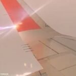 avion pedo