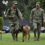 Perro-can-unidad-canina-Semar-Marina-MTG-DSC-8977-1024x618