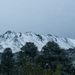 IMG_1029