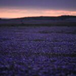 IMG_4171